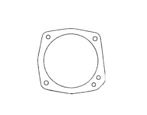 Gasket - Secondary Diaph skin