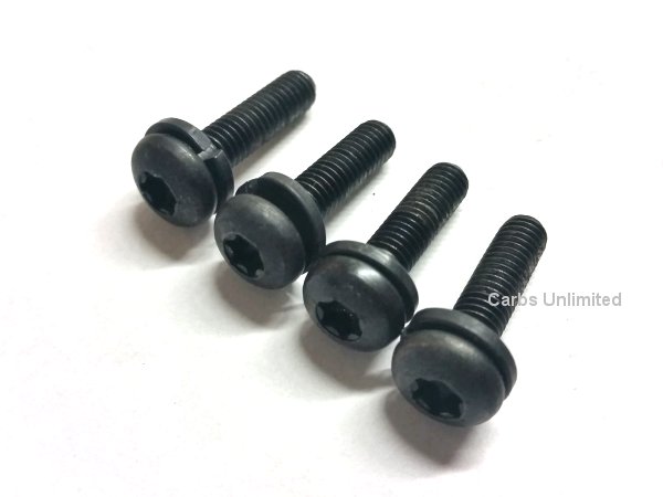 Throttle base screws (4) - Varajet