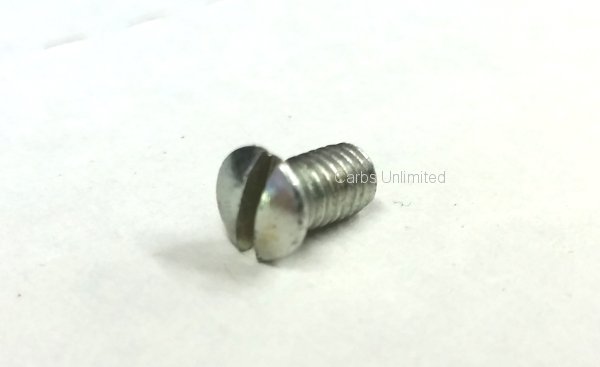 Tappered Screw throttle plate screw early versions (EW)
