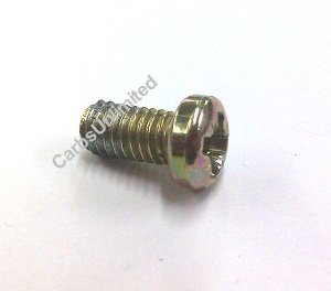 Throttle plate Fixing Screw (CU)