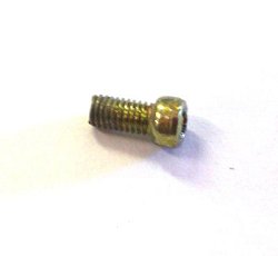 Choke Plate Fixing Screw (CU)